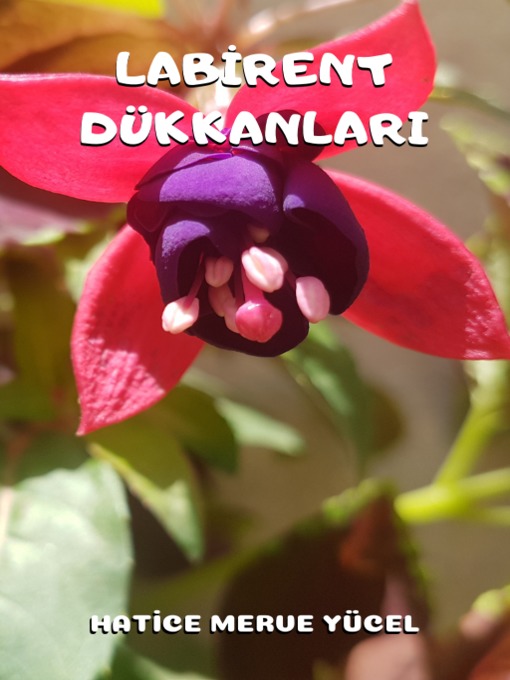Title details for LABİRENT DÜKKANLARI by Hatice Merve Yücel - Available